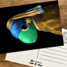 Postcard Image_Ivory_戴珍珠耳環的少女01